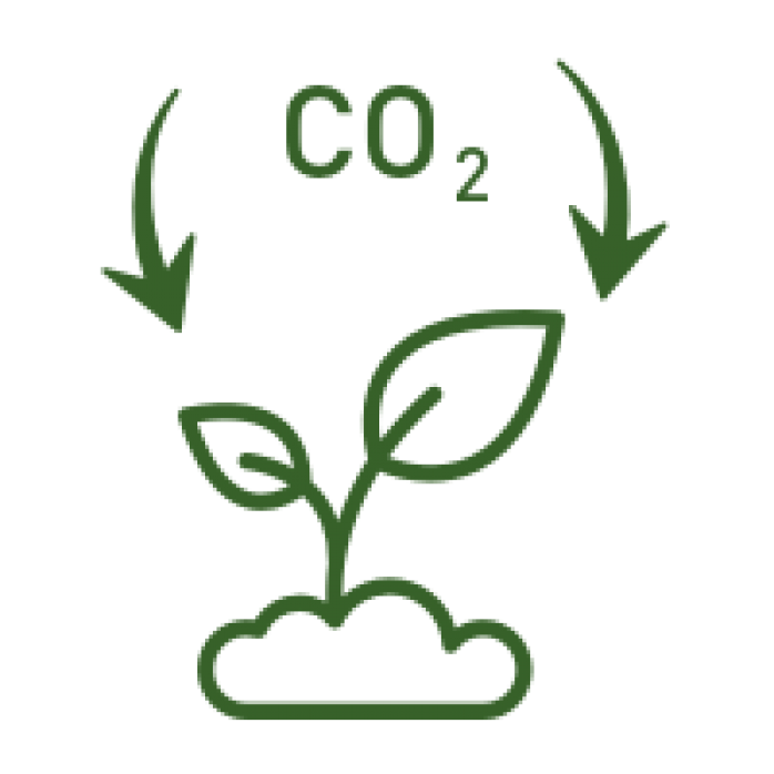 Carbon Sequestration